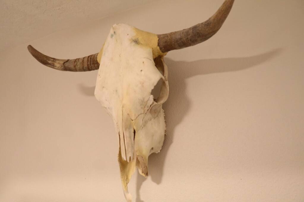 Cowboy Den-Hot Tub-Game Room-Pet Friendly-No Pet Fees! Albuquerque Buitenkant foto